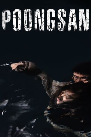 Poongsan's poster