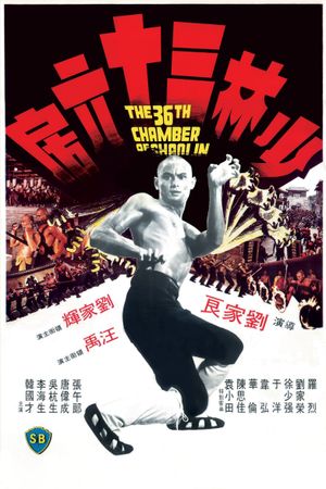 The 36th Chamber of Shaolin's poster