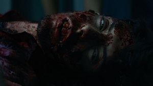 The Night of the Virgin's poster