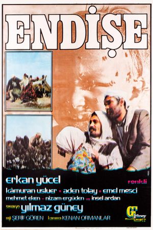 Endise's poster image
