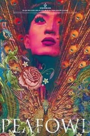 Peafowl's poster