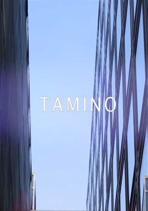 Tamino - live @ Les Concerts Volants's poster