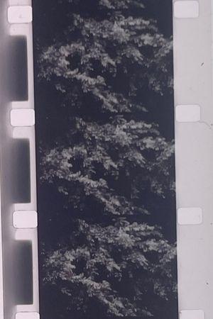 Plotting the Grey Scale: 2 or 3 Quick Traverses's poster