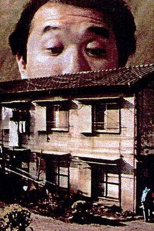 Box Age's poster