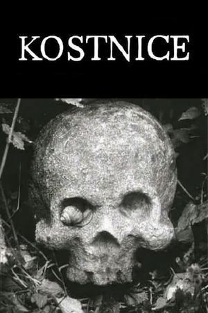 The Ossuary's poster