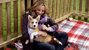 A Royal Corgi Christmas's poster