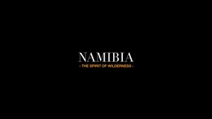 Namibia: The Spirit of Wilderness's poster