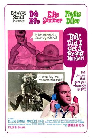 Boy, Did I Get a Wrong Number!'s poster