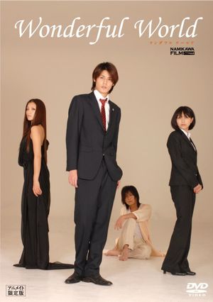 Wonderful World's poster