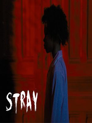 Stray's poster