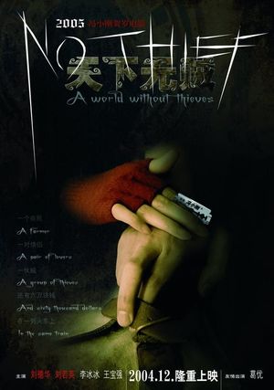 A World Without Thieves's poster