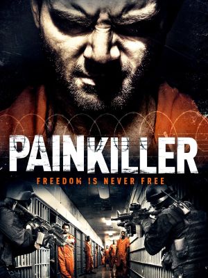 Painkiller's poster