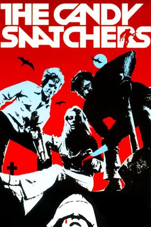 The Candy Snatchers's poster