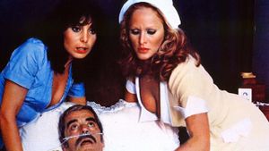 The Sensuous Nurse's poster