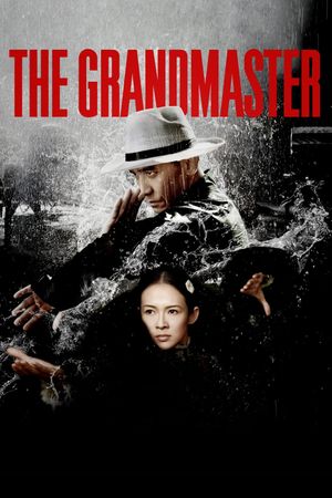 The Grandmaster's poster