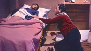 Bravissimo's poster