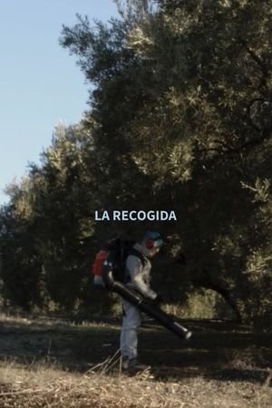 La Recogida's poster