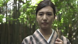 Geisha 2's poster