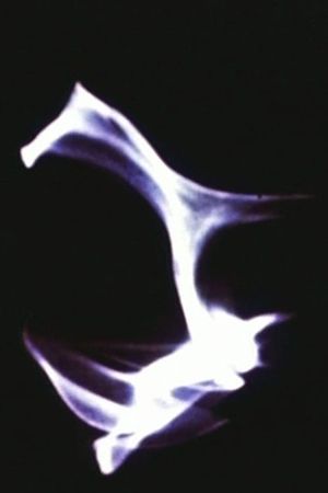 Light Reflections's poster