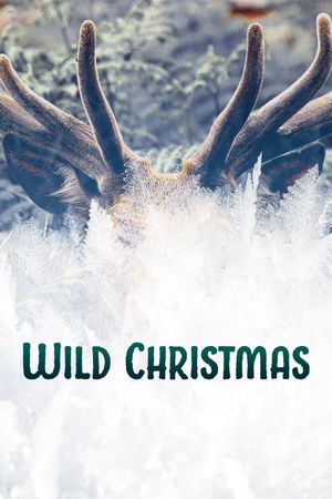 Wild Christmas's poster