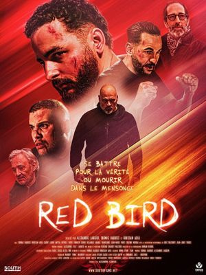 Red bird's poster