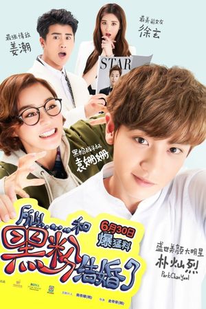 So I Married an Anti-Fan's poster