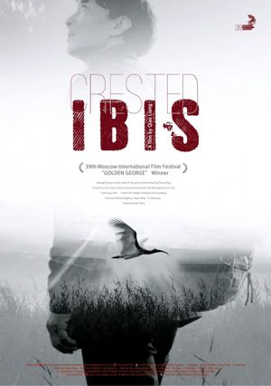 Crested Ibis's poster