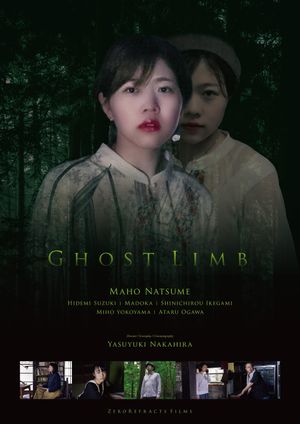 Ghost Limb's poster