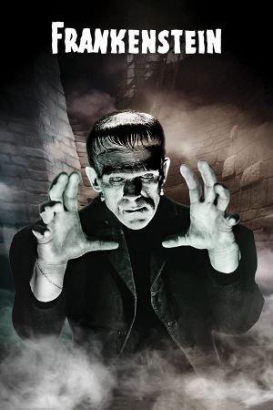 Frankenstein's poster