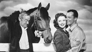 The Story of Seabiscuit's poster