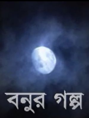 Bonur Golpo's poster