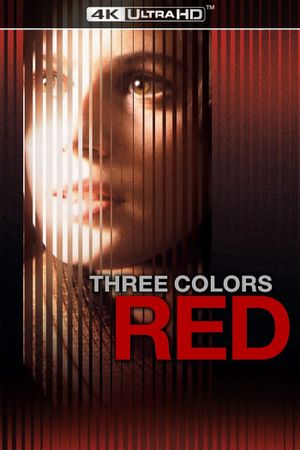 Three Colors: Red's poster