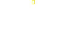 Return of the Clouded Leopards's poster
