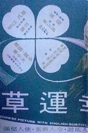 Xin yun cao's poster