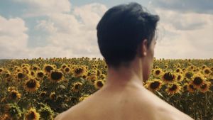 Sunflower's poster