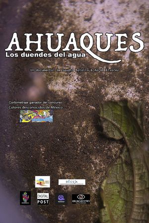 Ahuaques, the water elves's poster