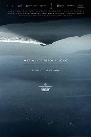 Mes nuits feront écho's poster
