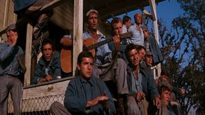 Cool Hand Luke's poster