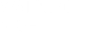 Walpurgis Night's poster