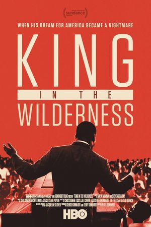 King In The Wilderness's poster
