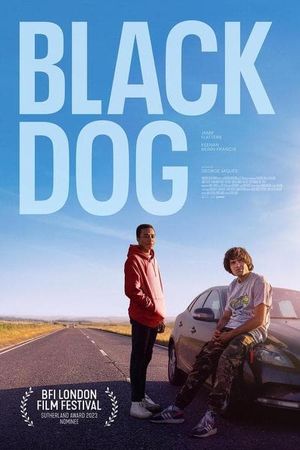 Black Dog's poster