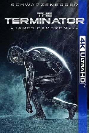 The Terminator's poster