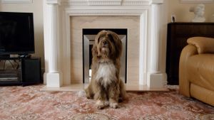 The Dog with the Woman's poster