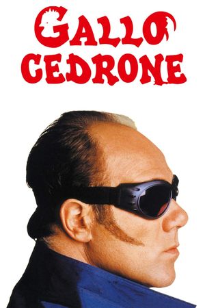 Gallo cedrone's poster
