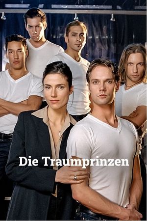 Die Traumprinzen's poster