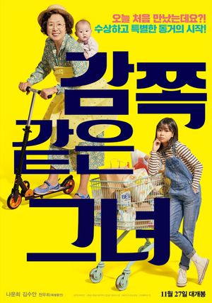 A Little Princess's poster