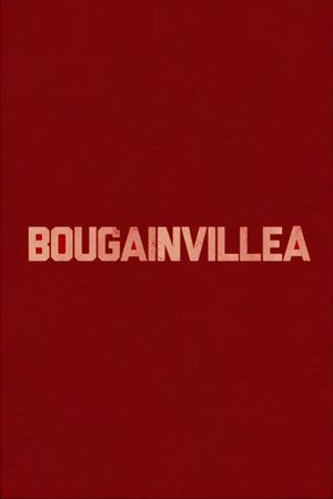 Bougainvillea's poster