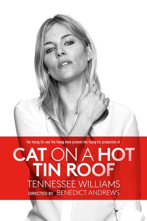 Cat on a Hot Tin Roof's poster