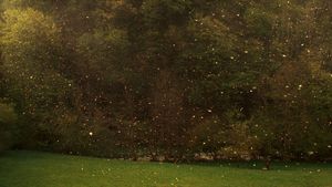 Stories from the Chestnut Woods's poster