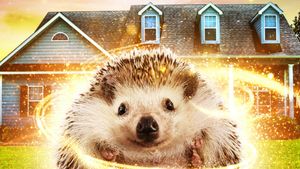 Andy the Talking Hedgehog's poster